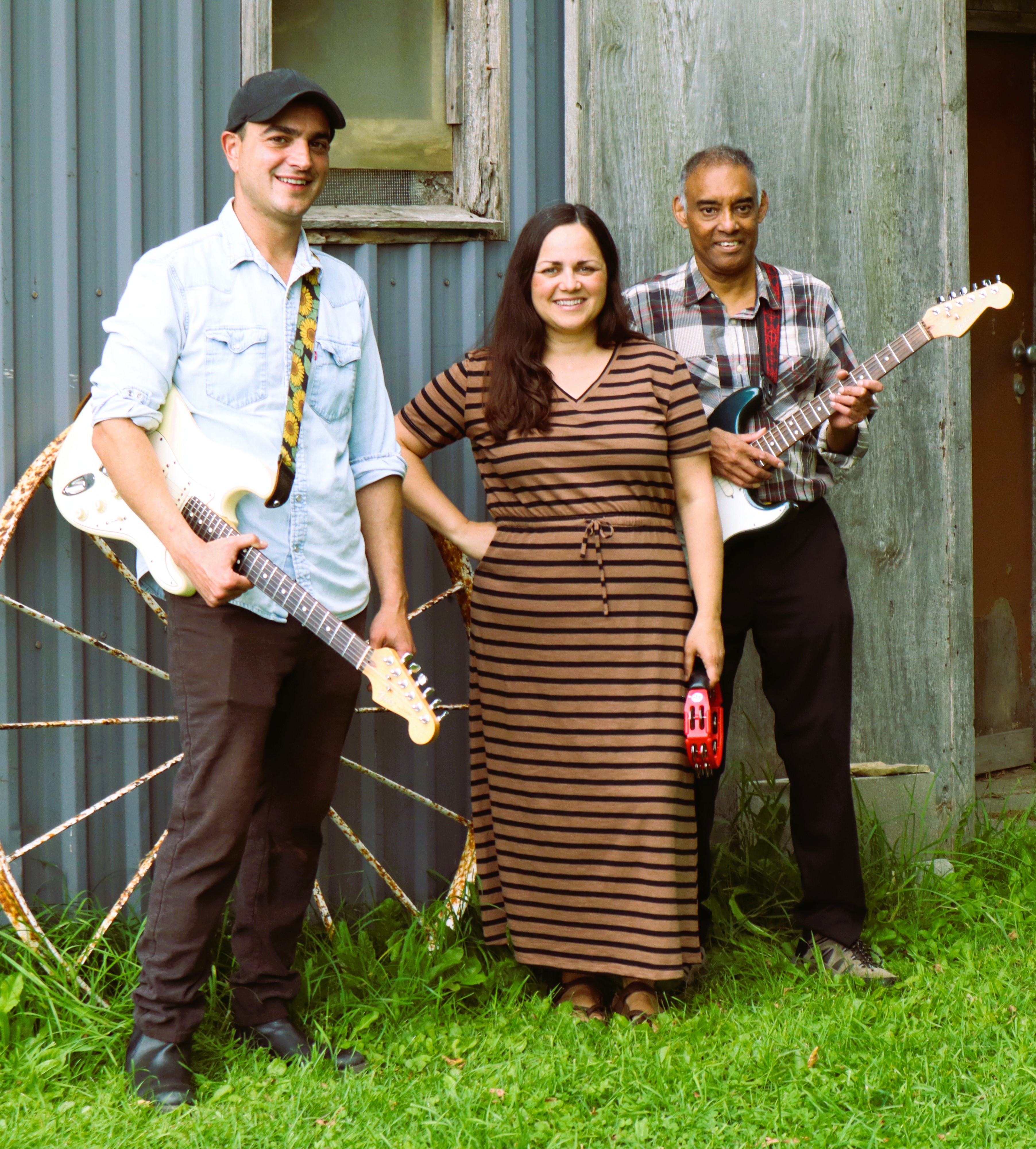 This image has an empty alt attribute; its file name is the-laura-volpe-band-group-image.jpg